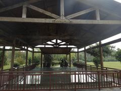 -合肥三国新城遗址公园