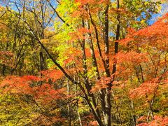 -丹东天桥沟景区