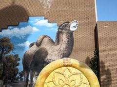 -新疆国际大巴扎