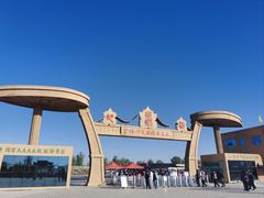 -金塔沙漠胡杨林景区