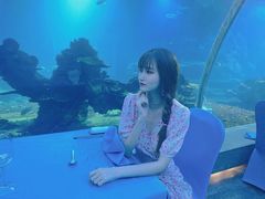 -海棠湾洲际-涛·海底餐厅·美人鱼·自助餐·海底隧道