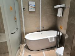 -圣爵菲斯大酒店(长沙世界之窗店)