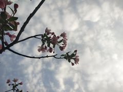 -荆川公园