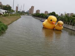 -菊园百果园