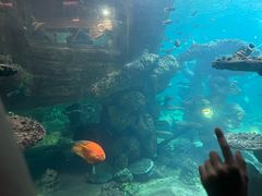 -长鹿旅游休博园