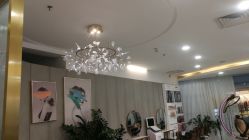 点击看大图 -八佰伴8008星级形象店