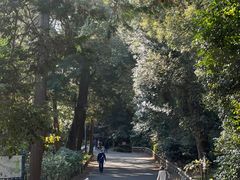 -井之头恩赐公园