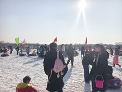 -西青郊野公园