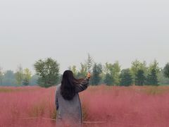 -汉长安城未央宫国家考古遗址公园