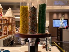 -深圳国际会展中心希尔顿酒店(前海华发冰雪世界店)