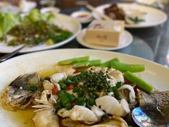 -猪肉婆私房菜(容桂总店)