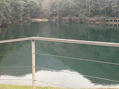 -午潮山国家森林公园