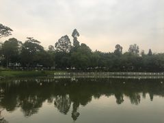 -长洲岛