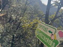 -塔云山