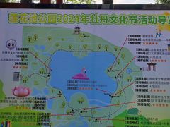 -莲花池公园