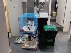 -爱侣宠医·鹦鹉专科·小型哺乳类·异宠专科(灵石路店)