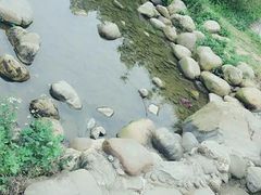 -火炉山森林公园