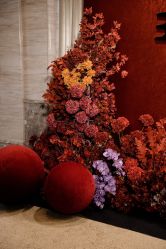 -南昌喜来登酒店·宴会厅