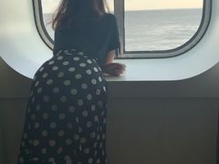 -歌诗达邮轮(宝杨路码头)