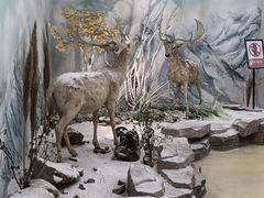 -西霞口神雕山野生动物世界