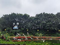 -广州长隆飞鸟乐园