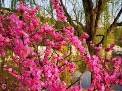 -北京西山国家森林公园