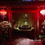 新荣记打卡[胜利][胜利]