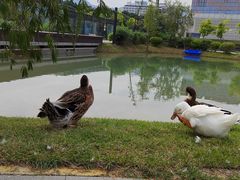 -深圳大学(丽湖校区)