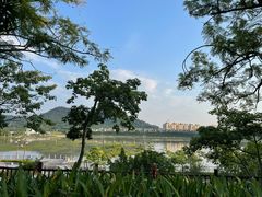 -风云岭森林公园