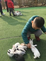 -萌宠亲子动物乐园(槐房万达店)