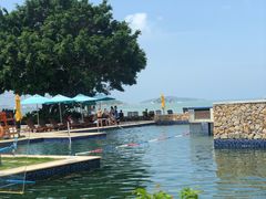 -采粤轩中餐厅(惠州金海湾喜来登度假酒店)