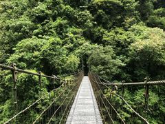 -太鲁阁公园