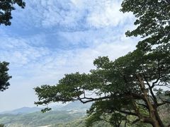 -广州市帽峰山景区
