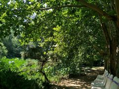 -银树楼(紫玉山庄东区店)