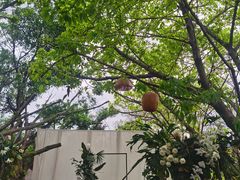 -悦哉·派对·草坪婚礼·围炉煮茶(三圣乡店)