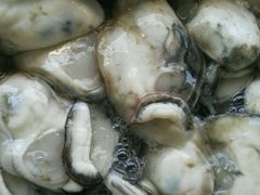 -崖口红树林海鲜餐厅
