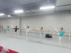 -舞蕾舞蹈(特长生校区)