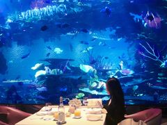 -迪拜帆船酒店海底餐厅