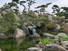 -罗红摄影艺术馆