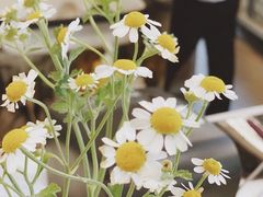 -PAUSE(恒大广场店)