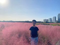 -尚贤河湿地