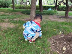 -迎泽公园