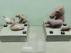 -古陶文明博物馆