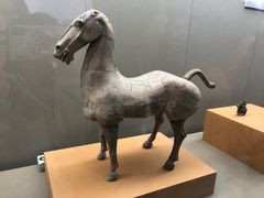 -茂陵博物馆