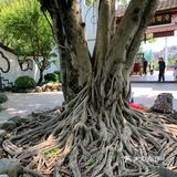 一座山一片城