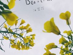 -西海岸生态观光园