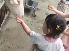 -史努比缤纷世界