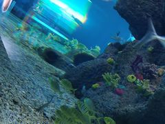 -沙沙哗啦海洋馆(华宇百花谷店)