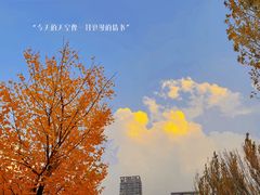 -长白岛森林公园