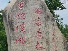 -合肥滨湖国家森林公园